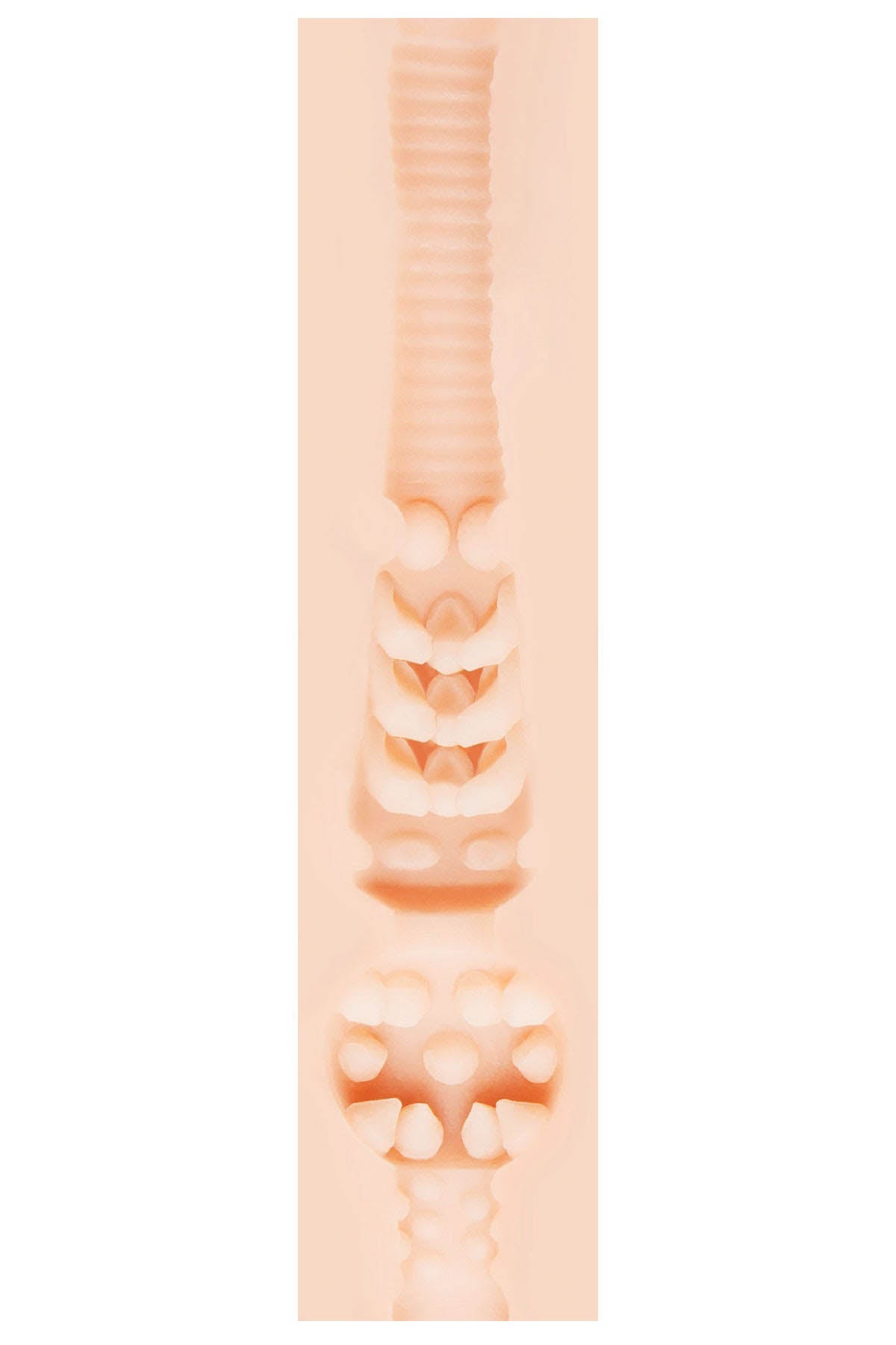 Fleshlight Fleshjack Stoya Destroya