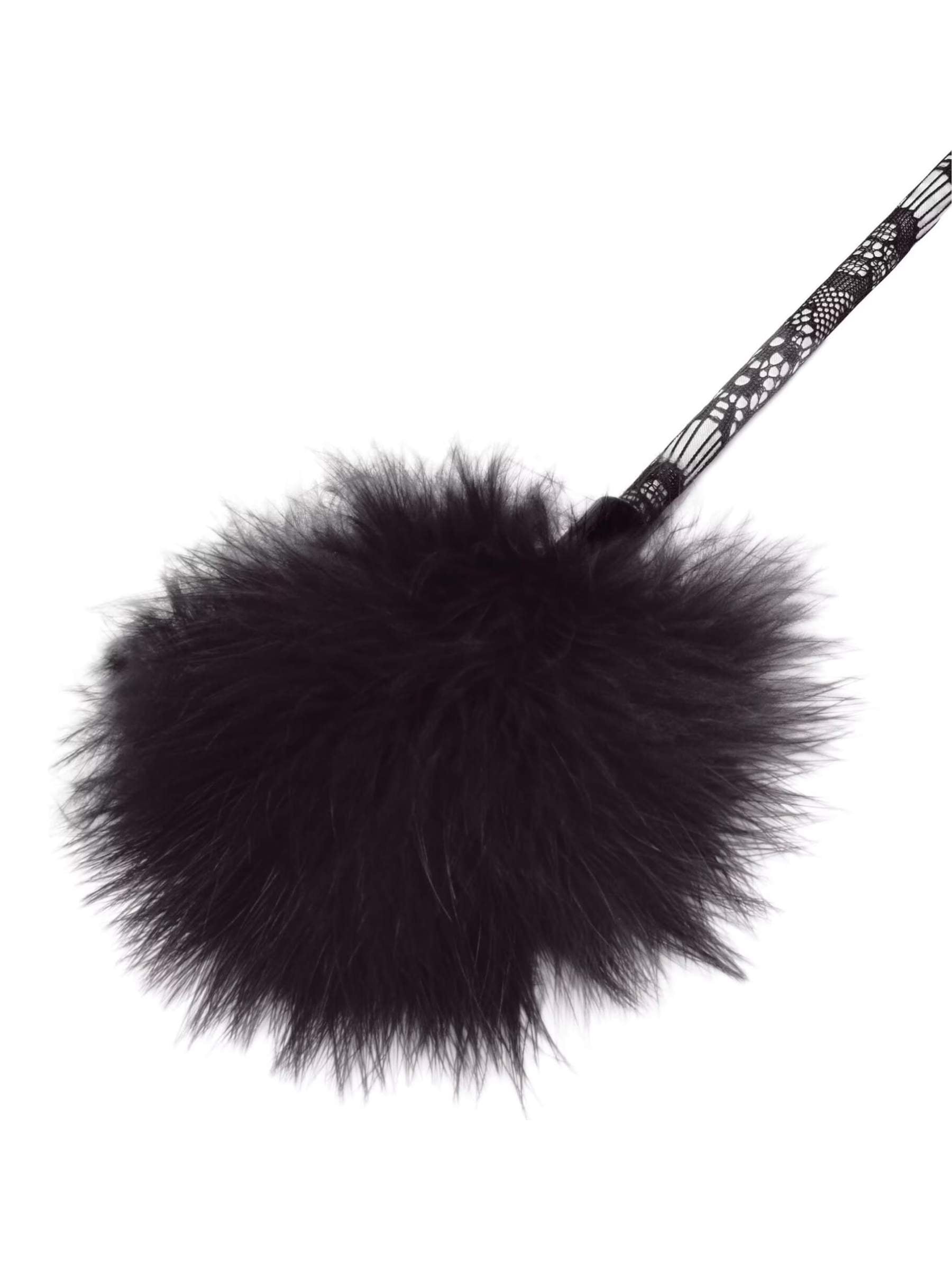 Steamy Shades Feather Tickler & Leather Crop