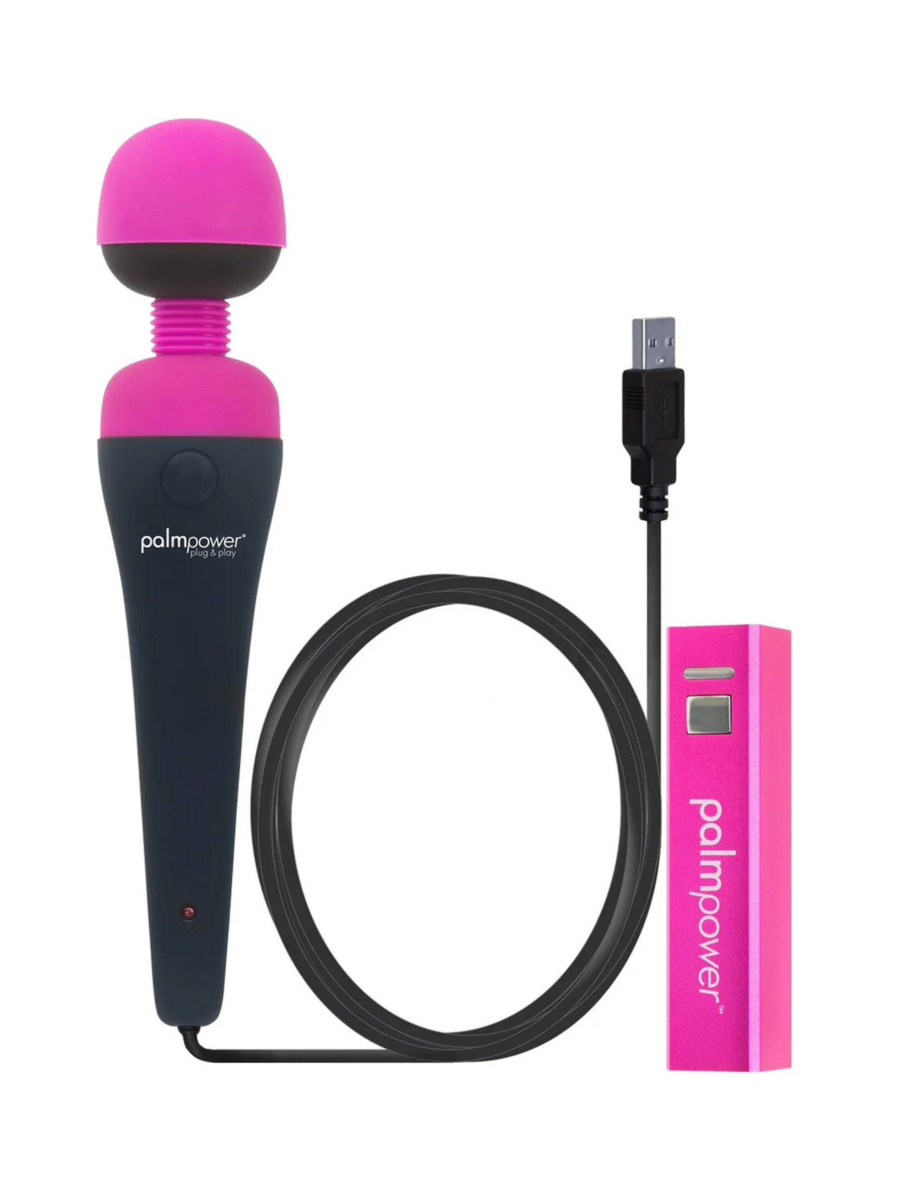 Swan Palmpower Plug and Play USB