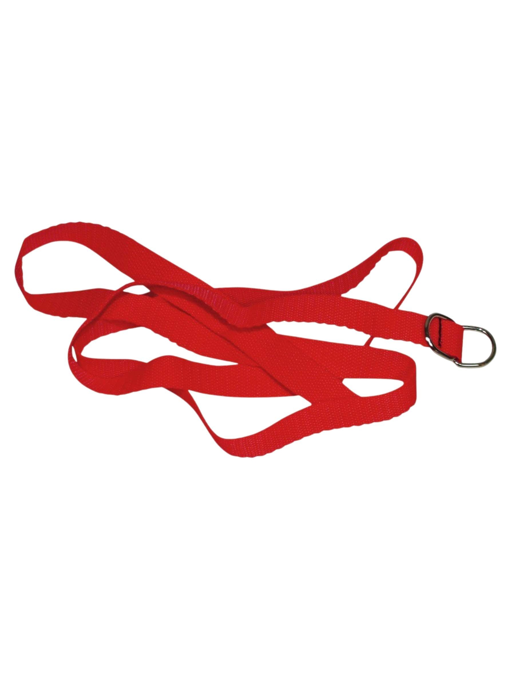 Bad Kitty Bondage Set - Giant 8 Piece - Strap Restraint